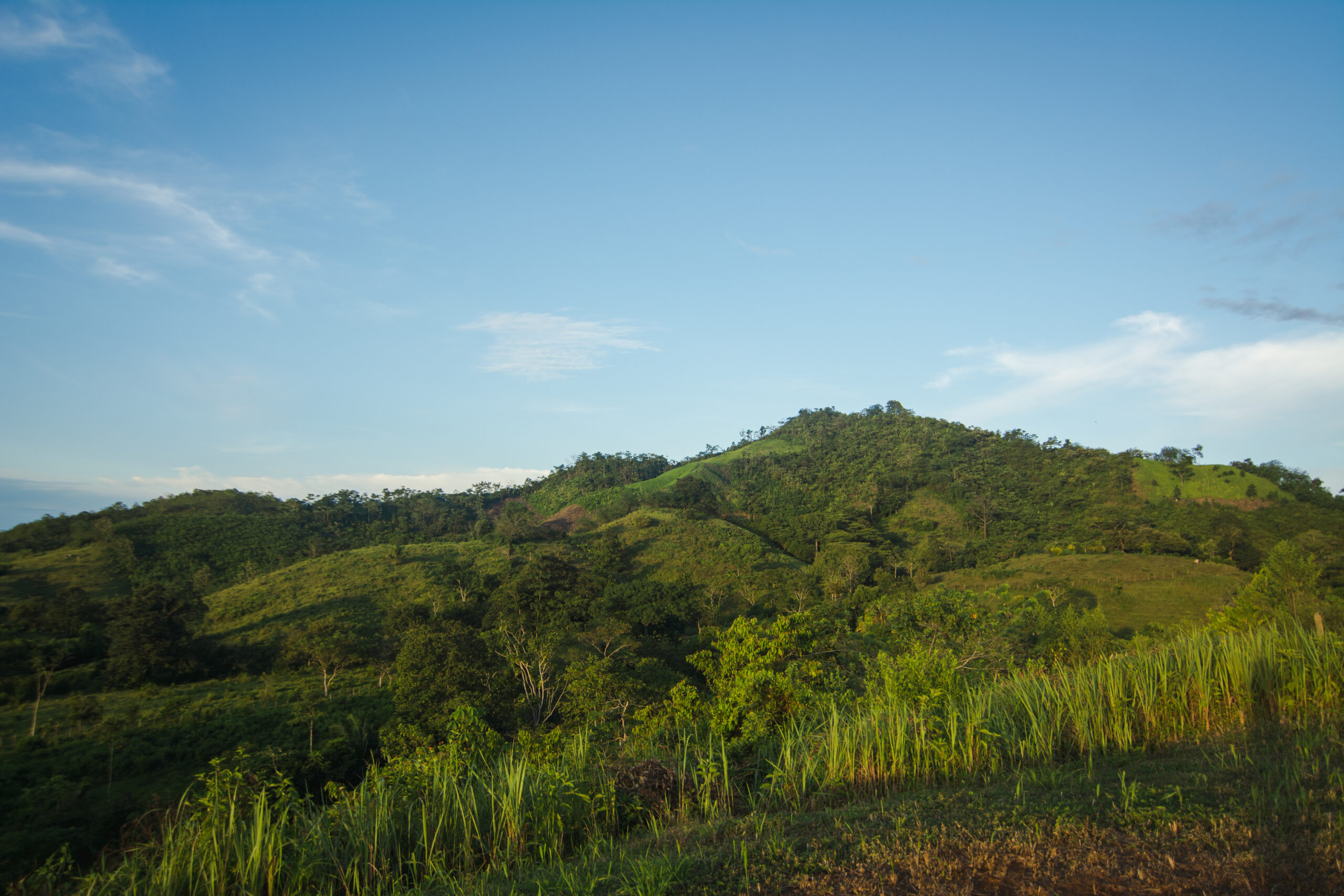 Banner Image For News, Media Gallery, Our Stories Pages