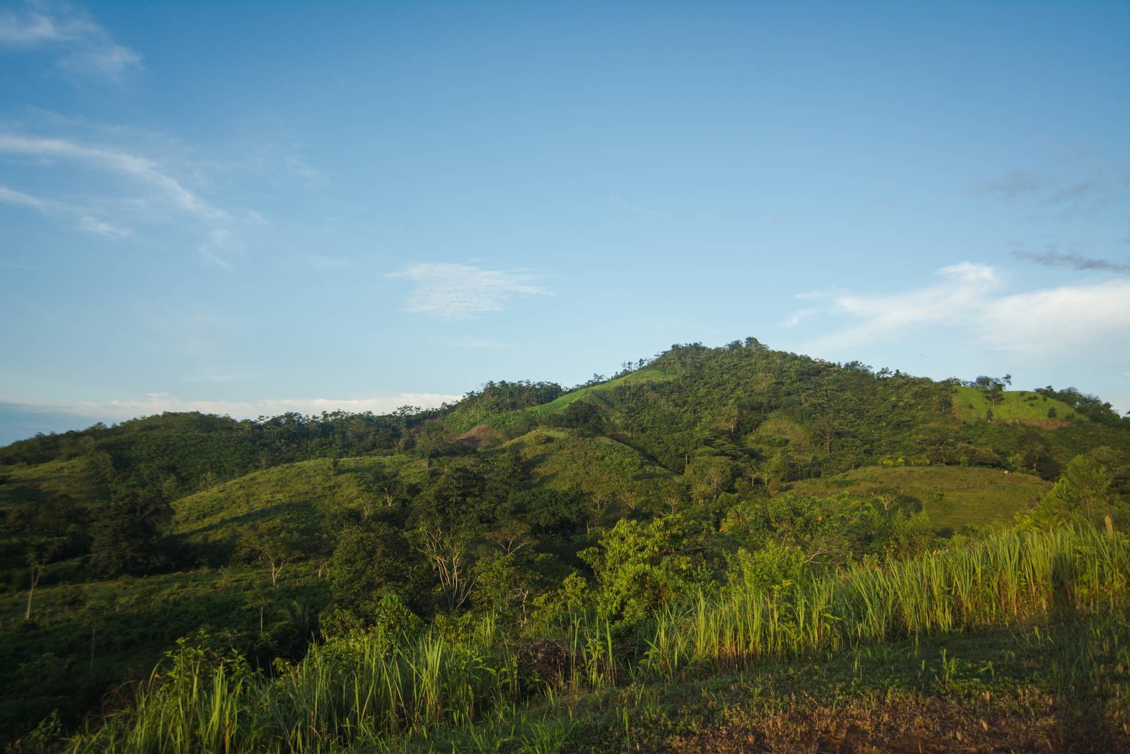 Banner Image For News, Media Gallery, Our Stories Pages